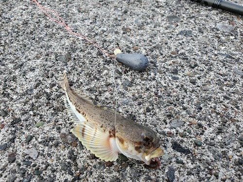 f:id:kentanaaa:20210707224945j:plain