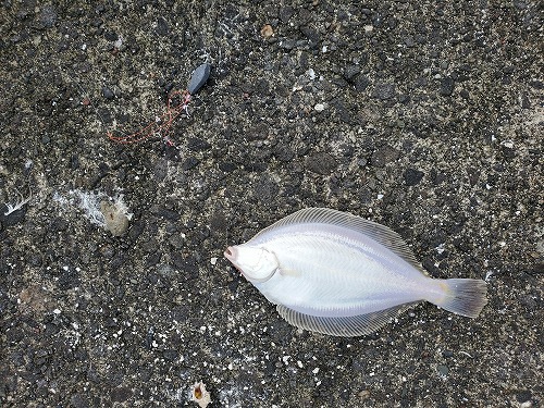 f:id:kentanaaa:20210707225018j:plain