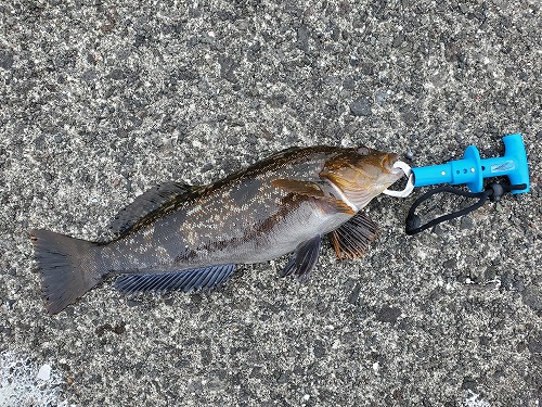 f:id:kentanaaa:20210707233731j:plain