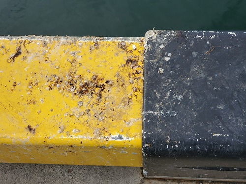 f:id:kentanaaa:20210708065153j:plain