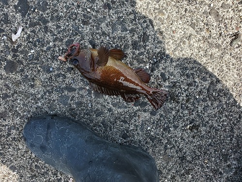 f:id:kentanaaa:20210708065331j:plain