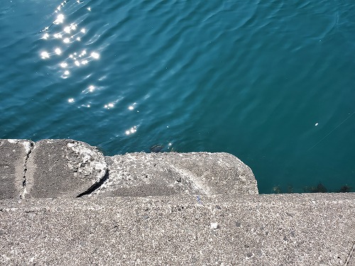 f:id:kentanaaa:20210725160637j:plain