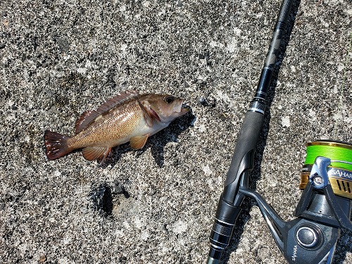 f:id:kentanaaa:20210725161326j:plain