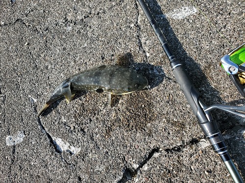 f:id:kentanaaa:20210725164454j:plain