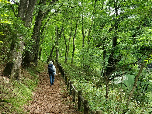 f:id:kentanaaa:20210801191711j:plain