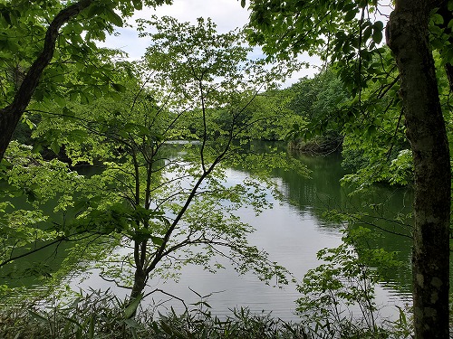 f:id:kentanaaa:20210801191820j:plain