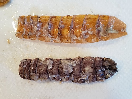 f:id:kentanaaa:20210815000023j:plain