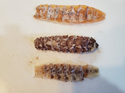 f:id:kentanaaa:20210815000459j:plain