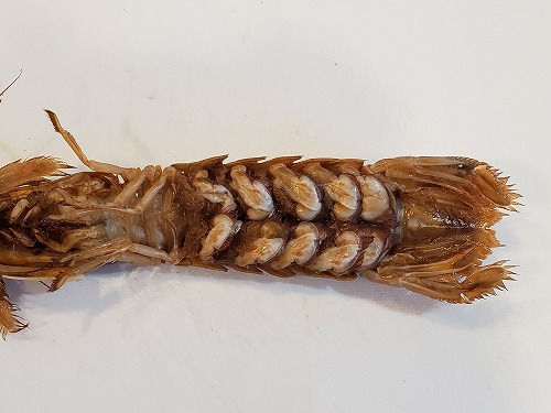 f:id:kentanaaa:20210815001138j:plain