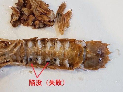 シャコの茹で方と剥き方 私好みのレシピ 早期退職で趣味ざんまい