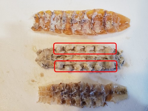 f:id:kentanaaa:20210815013045j:plain