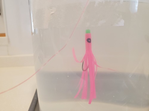 f:id:kentanaaa:20210901105356j:plain