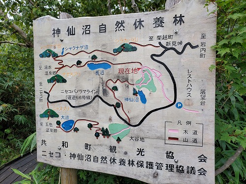 f:id:kentanaaa:20210906073759j:plain