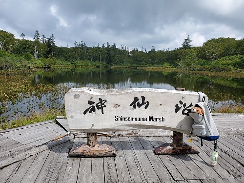 f:id:kentanaaa:20210906074111j:plain