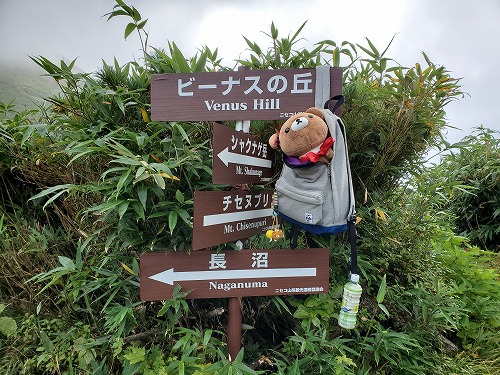 f:id:kentanaaa:20210906074538j:plain