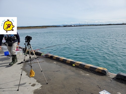 f:id:kentanaaa:20211008155332j:plain