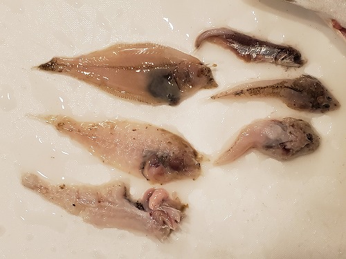 f:id:kentanaaa:20211008164210j:plain