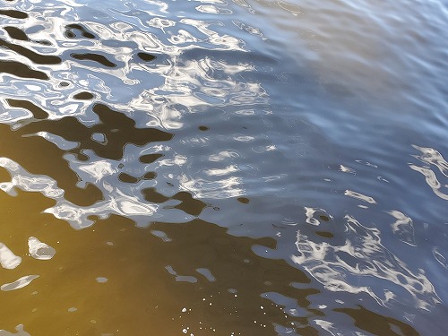 f:id:kentanaaa:20211013104507j:plain