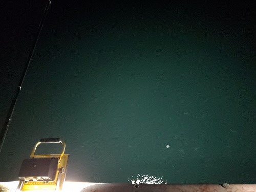 f:id:kentanaaa:20211019150121j:plain