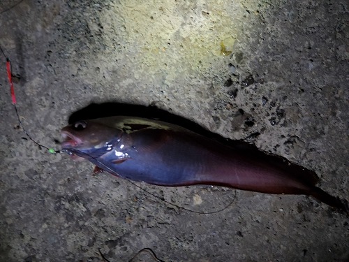 f:id:kentanaaa:20211019153155j:plain