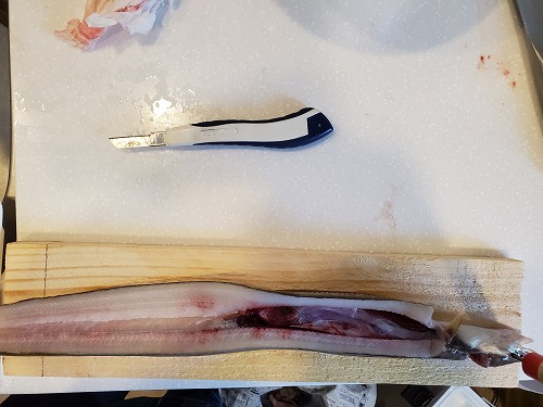 f:id:kentanaaa:20211019171222j:plain