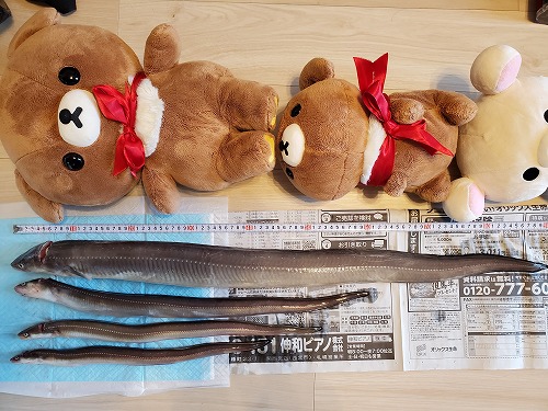 f:id:kentanaaa:20211019171648j:plain