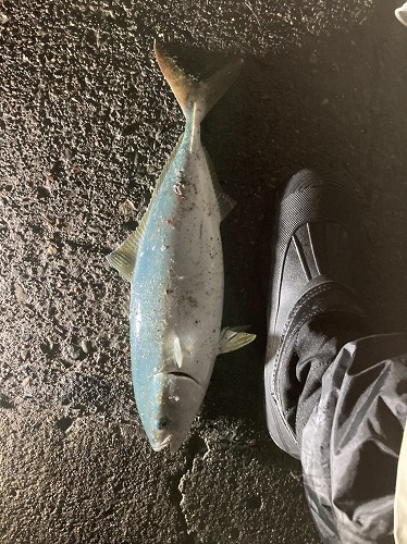 f:id:kentanaaa:20211028124954j:plain