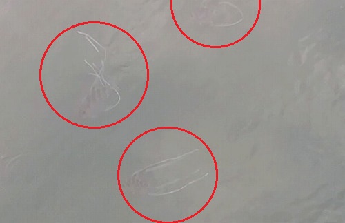 f:id:kentanaaa:20211028152403j:plain