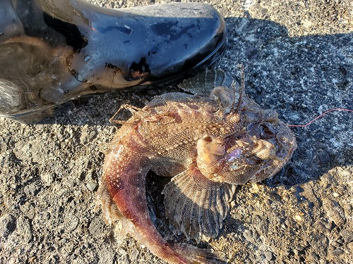 f:id:kentanaaa:20211031231511j:plain