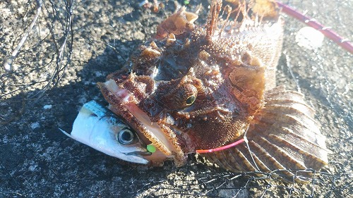 f:id:kentanaaa:20211031232459j:plain