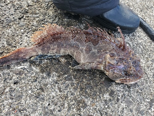 f:id:kentanaaa:20211104233555j:plain