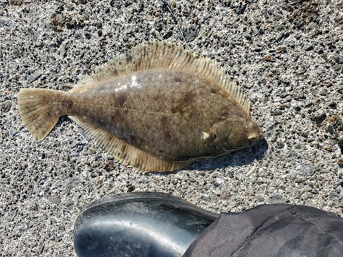 f:id:kentanaaa:20211104233620j:plain