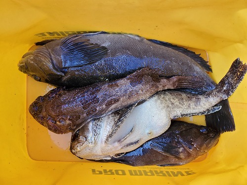 f:id:kentanaaa:20211104233647j:plain