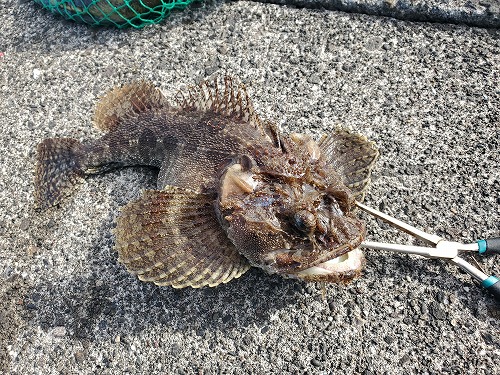 f:id:kentanaaa:20211105102122j:plain