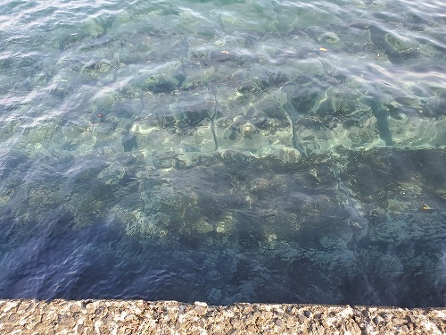 f:id:kentanaaa:20211108211214j:plain