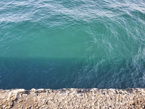 f:id:kentanaaa:20211108211409j:plain