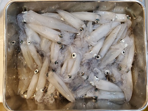 f:id:kentanaaa:20211108220659j:plain