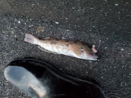 f:id:kentanaaa:20211208174215j:plain