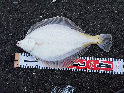 f:id:kentanaaa:20211208180539j:plain