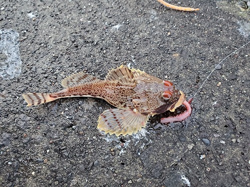 f:id:kentanaaa:20211208180851j:plain