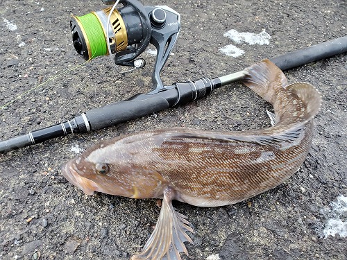 f:id:kentanaaa:20211208181849j:plain