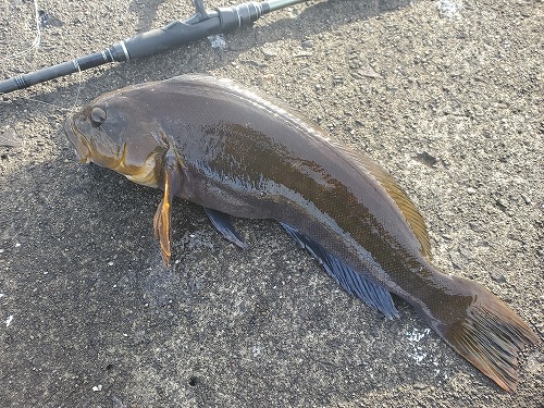 f:id:kentanaaa:20211208184725j:plain