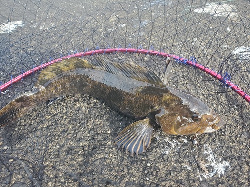 f:id:kentanaaa:20211208184855j:plain