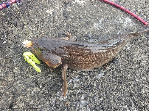 f:id:kentanaaa:20211208190013j:plain