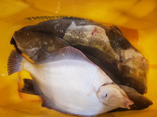 f:id:kentanaaa:20211208190815j:plain