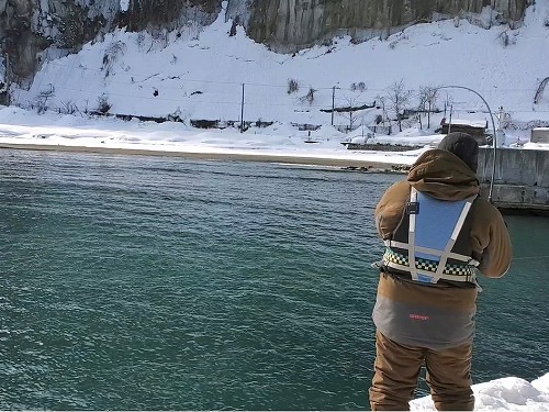 f:id:kentanaaa:20220304232928j:plain