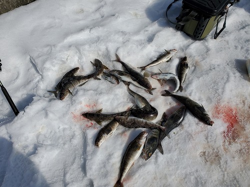 f:id:kentanaaa:20220304234300j:plain