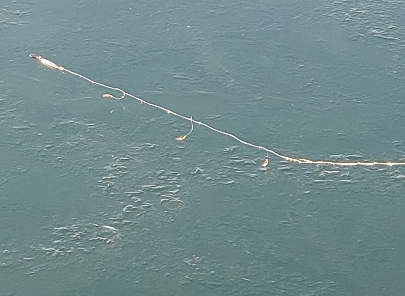 f:id:kentanaaa:20220311164450j:plain