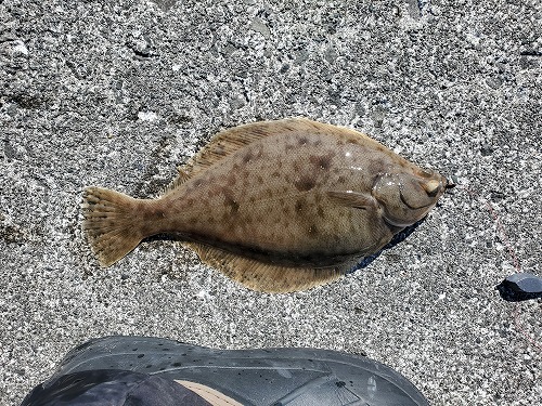 f:id:kentanaaa:20220311172325j:plain