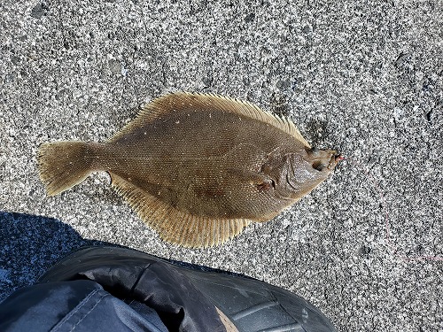 f:id:kentanaaa:20220311173128j:plain